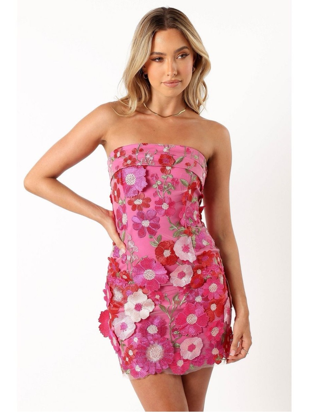 Petal & Pup • NWT $165 USD Strapless Pink Floral Embroidered Dress